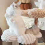Arbre à chat élégant avec motif floral