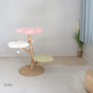 Structure moderne pour le jeu des chats