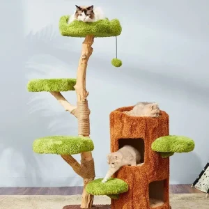 Arbre à chat avec jardin et tronc