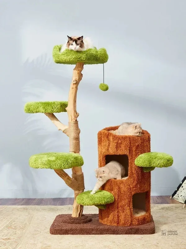 Arbre à chat avec jardin et tronc