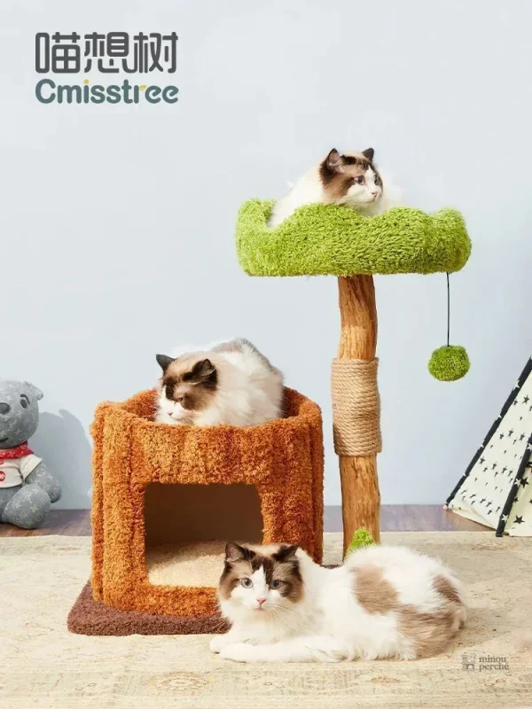 Abribus pour chats avec espace de jeu