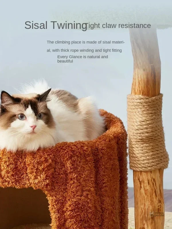 Arbre à chat élégant pour intérieur stylé