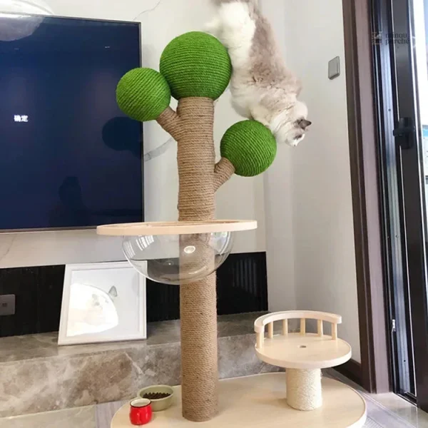 Arbre à chat moderne pour extérieur