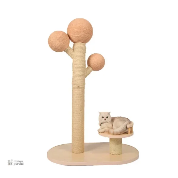 Arbre à chat chic pour l'aménagement extérieur