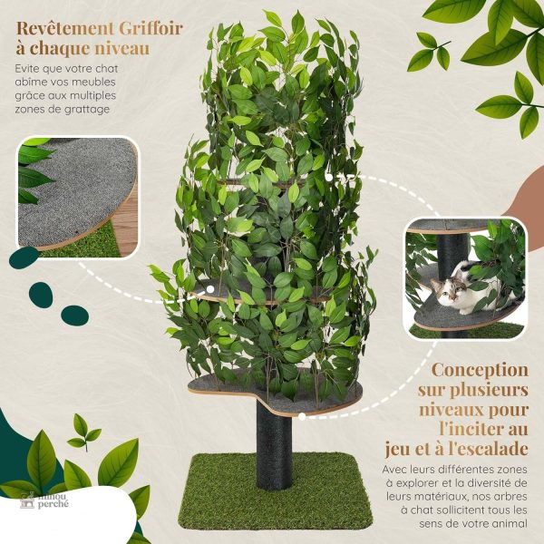 Arbre à chat avec un aspect naturel apaisant