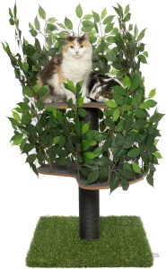 Espace de jeu pour chats avec style contemporain