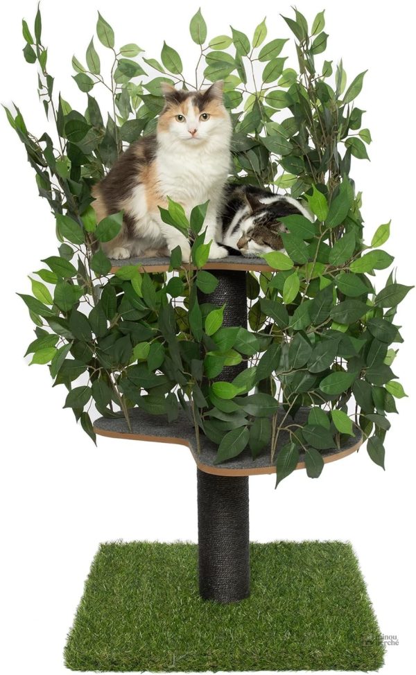Espace de jeu pour chats avec style contemporain