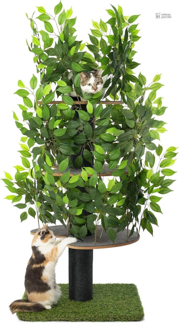 Modèle "Chat'Canopée" avec éléments naturels