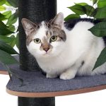 Arbre à chat alliant confort et esthétique