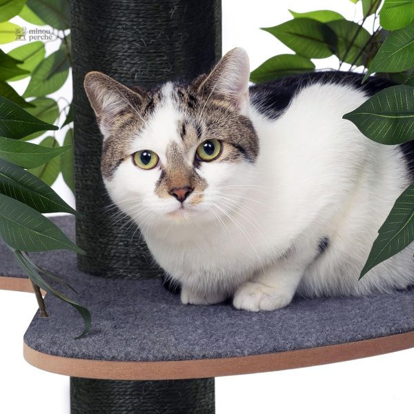 Arbre à chat alliant confort et esthétique