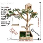 Structure moderne pour un espace de jeu félin