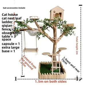 Structure moderne pour un espace de jeu félin