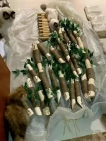 Arbre à chat élégant, parfait pour le design intérieur