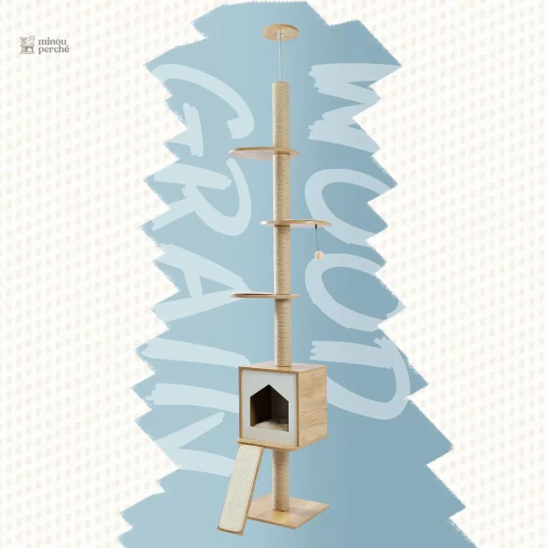 Design raffiné pour le bien-être des chats