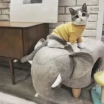 Hippopotame en pouf, espace de jeu pour félins