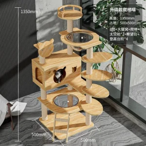 Cabane pour chats avec structure en bois robuste