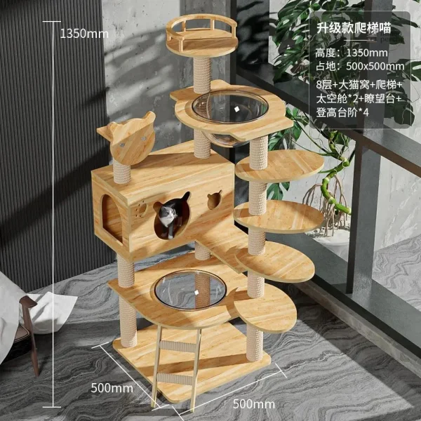 Cabane pour chats avec structure en bois robuste