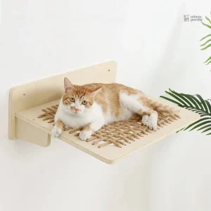 Terrain de jeu en bois pour animaux de compagnie