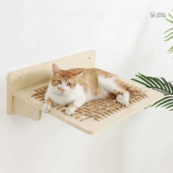Terrain de jeu en bois pour animaux de compagnie