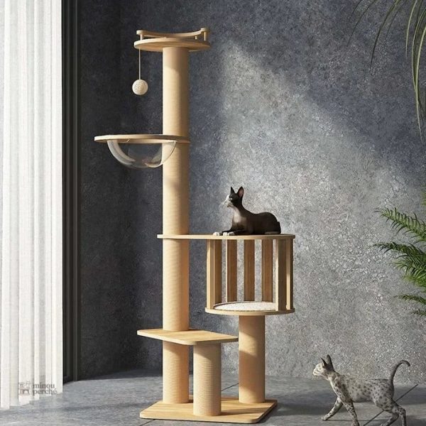 CatForest, arbre à chat en bois pour chats heureux