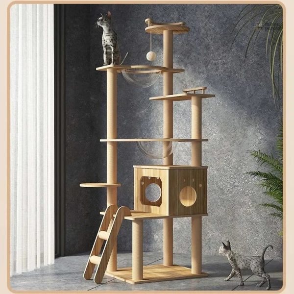 Arbre à chat en bois, idéal pour grimper et jouer