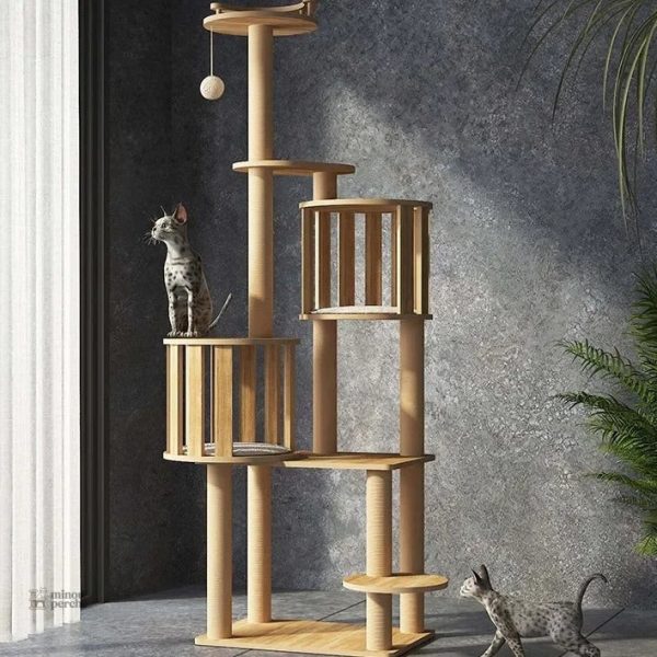 Arbre à chat en bois, parfait pour les moments de repos