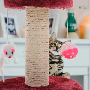 Arbre à chat économique pour le confort félin