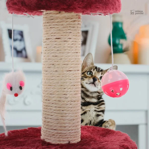 Arbre à chat économique pour le confort félin