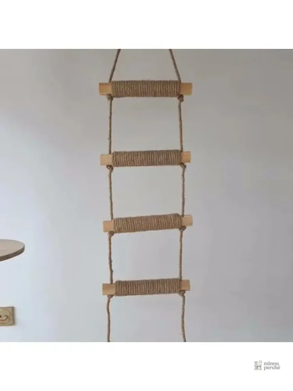 Structure d'escalade pour chats en extérieur
