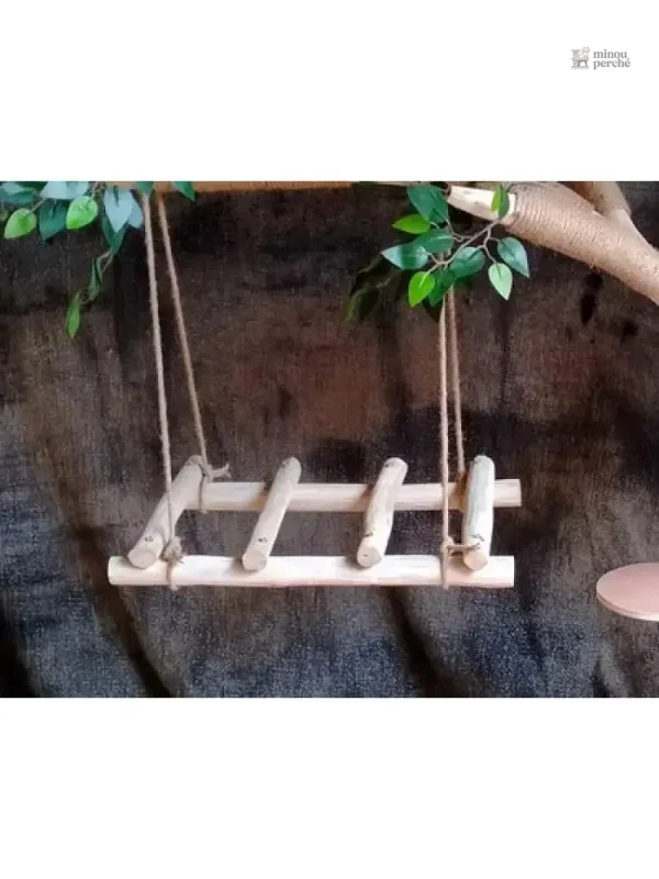 Espace de jeu pour félins en plein air