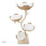Espace de jeu pour chats design