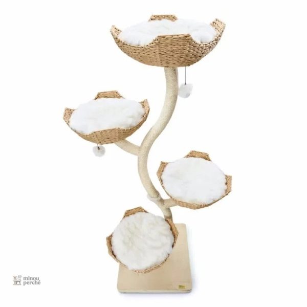 Espace de jeu pour chats design