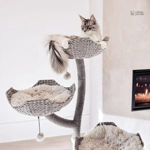 Arbre à chat élégant pour félin