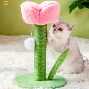 Arbre à chat fleur - Florish