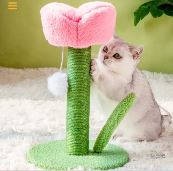 Arbre à chat fleur - Florish