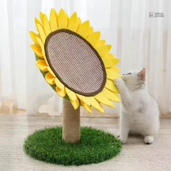 Arbre à chat fleur Tournesol