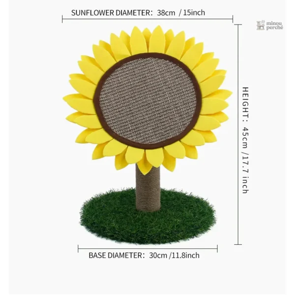 Tournesol pour le bien-être des chats