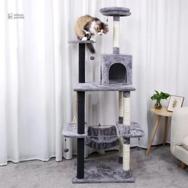 Arbre à chat Nid Perché pour jeux et repos