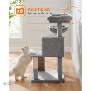 Rampe d'accès sur arbre à chat gris