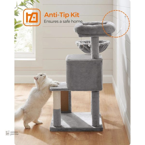 Rampe d'accès sur arbre à chat gris