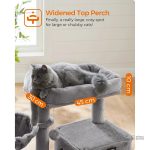 Confort optimal pour chats sur cet arbre à chat