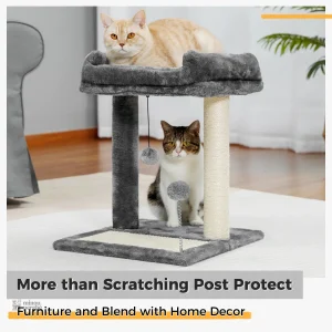 Arbre à chat gris pour un espace de jeu confortable