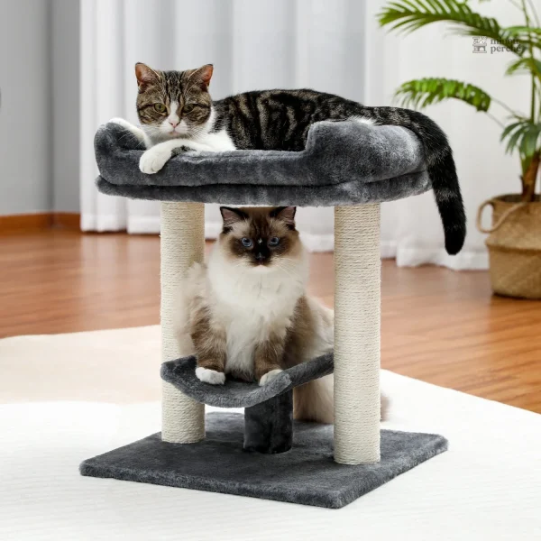 Gris Totem, arbre à chat pratique et abordable