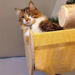 Hamac lune en bois pour le repos des chats