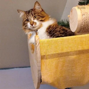 Hamac lune en bois pour le repos des chats
