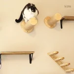 Arbre à chat en bois avec espace de détente