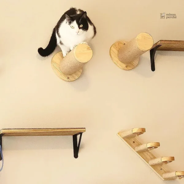 Arbre à chat en bois avec espace de détente
