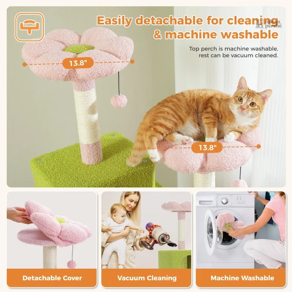Chachou, un arbre à chat joyeux et accueillant