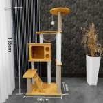 Solution de divertissement pour Maine Coon