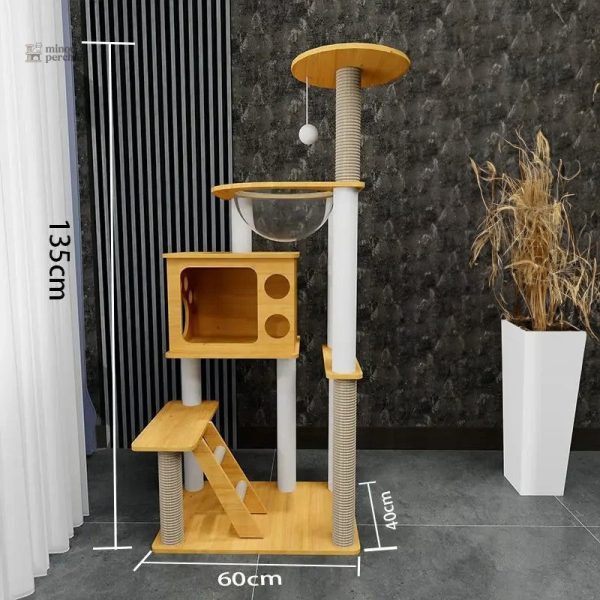 Solution de divertissement pour Maine Coon
